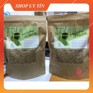 Hạt Giống Cỏ Lúa Mì 💖 HÀNG CAO CẤP 💖 HẠT GIỐNG CỎ LÚA MÌ - Túi - 1 Kg Viet Healthy