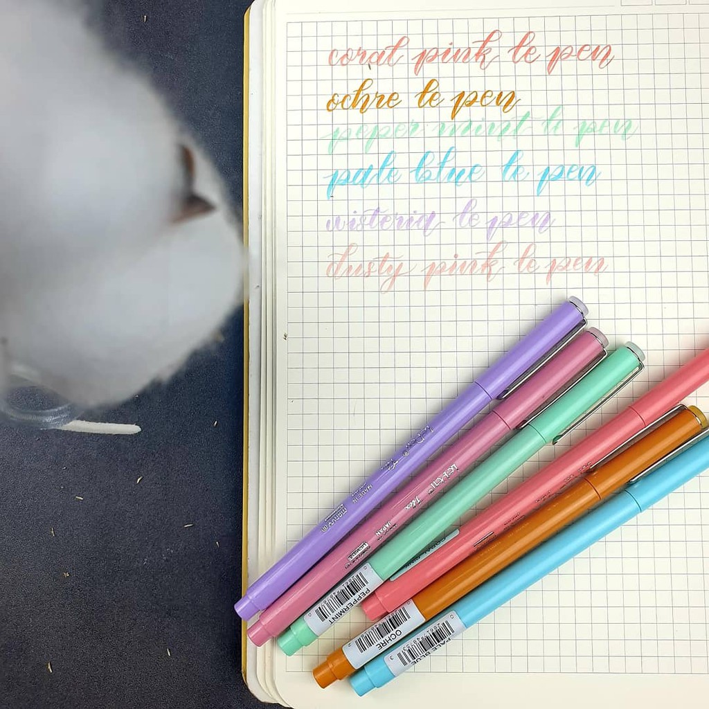 Marvy Lepen FLEX Màu Pastel (Bút Lẻ) - Journalholic