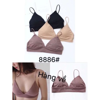 Áo bra 2 dây, áo lót không gọng đệm mỏng, áo lót kiểu Nhật