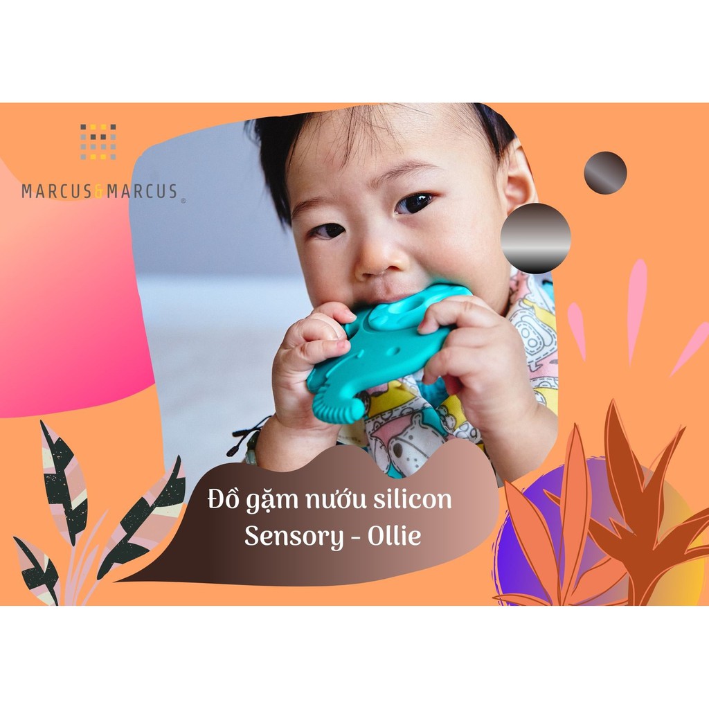 Đồ gặm nướu silicon cho bé Sensory Marcus &amp; Marcus, từ 6 tháng - Ollie