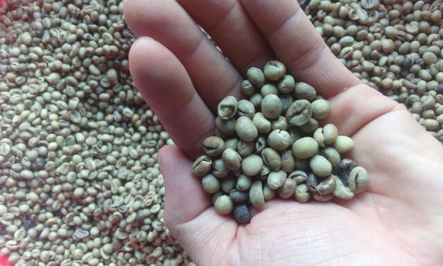 CAFE MIX ĐẶC BIỆT MIKA 5kg | BigBuy360 - bigbuy360.vn
