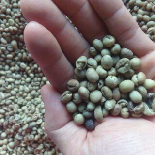 CAFE MIX ĐẶC BIỆT MIKA 5kg