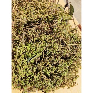 1kg Mắc khén rừng