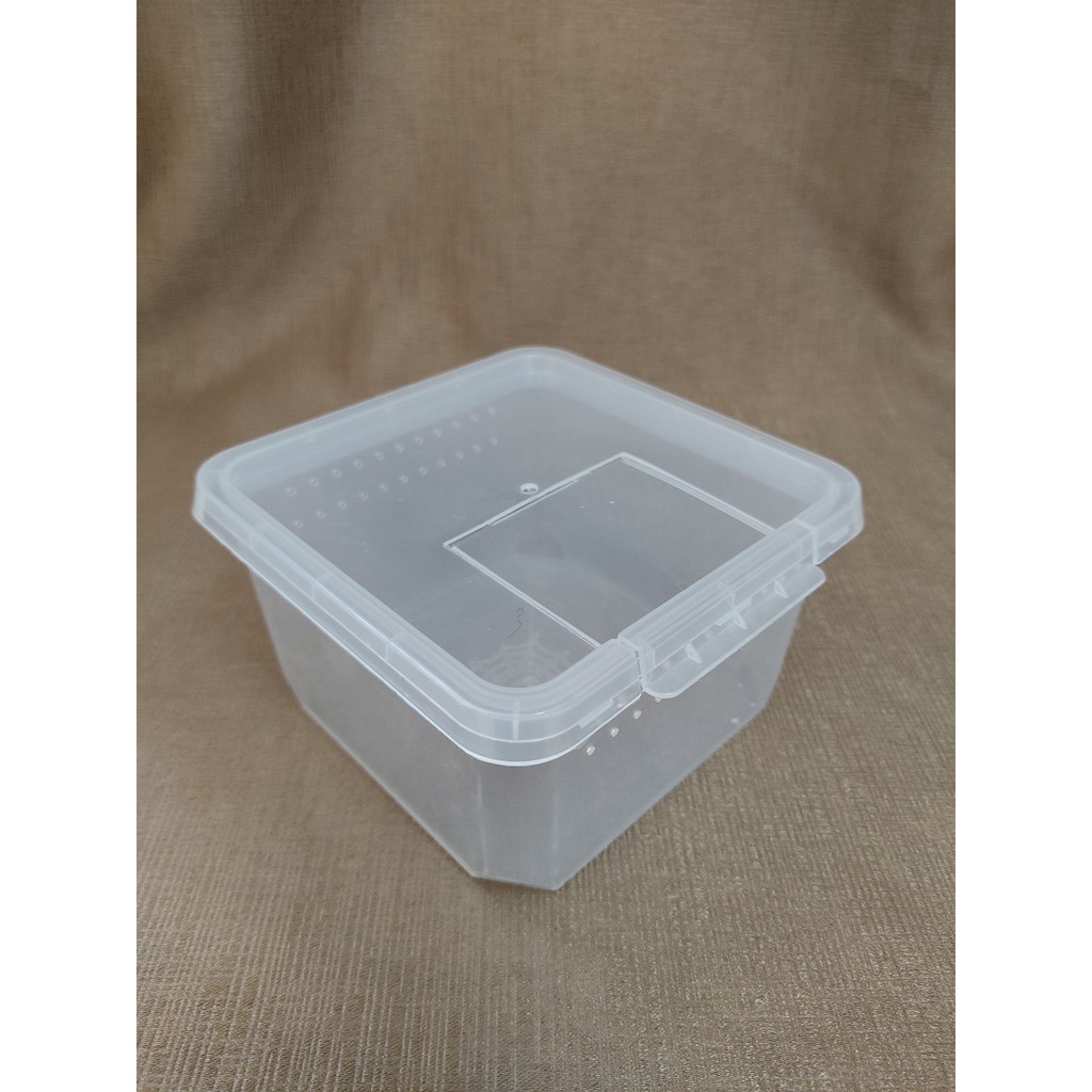 HỘP NUÔI NHỆN BÒ CẠP RẾT CÔN TRÙNG BÒ SÁT 11x11x7cm