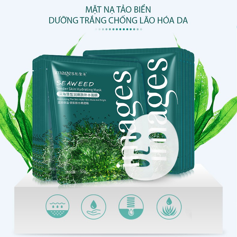 Mặt nạ Tảo Biển Seaweed Chống Lão Hóa Cấp Ẩm Phục Hồi Da- nhiều mẫu