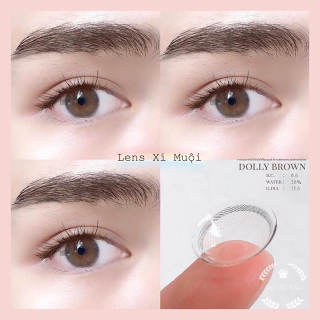 Lens mắt nâu Dolly Brown có cận (0-6.5 độ)