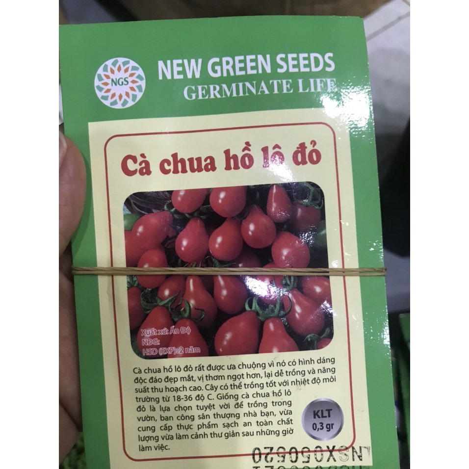 hạt cà chua, dưa chuột, bầu bí, mướp, nho lùn, đu đủ, đậu bắp, đậu rồng