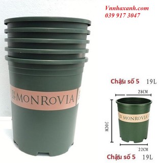 Chậu Nhựa Trồng Cây Monrovia Cỡ Số 5