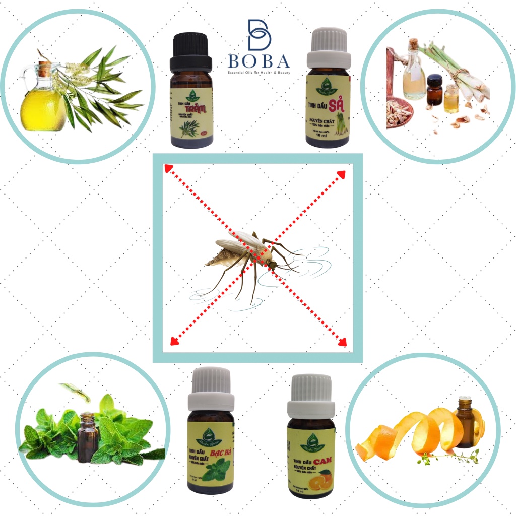 (HCM) Combo Tinh Dầu Đuổi Muỗi - bobashop.vn