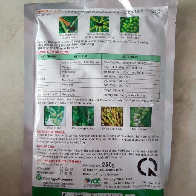 Thuốc Trừ Bệnh DITHANE 80WP - Trừ Bệnh Vàng Lá, Mốc Sương (250g)