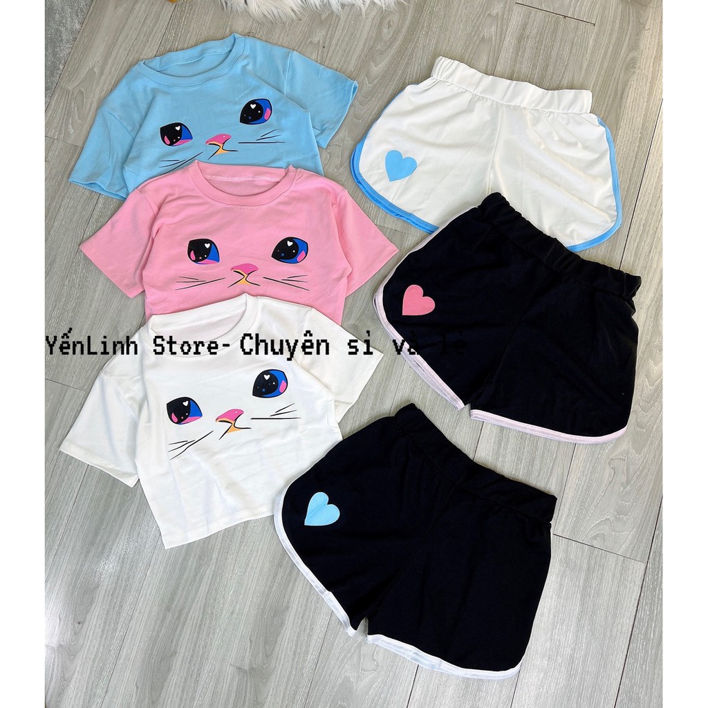 Set bộ áo croptop quần đùi mèo ba màu xinh xắn YenLinhStore S018