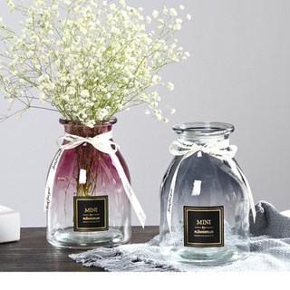 Bình hoa thuỷ tinh Miniplus trang trí để bàn làm việc Qshop Decor