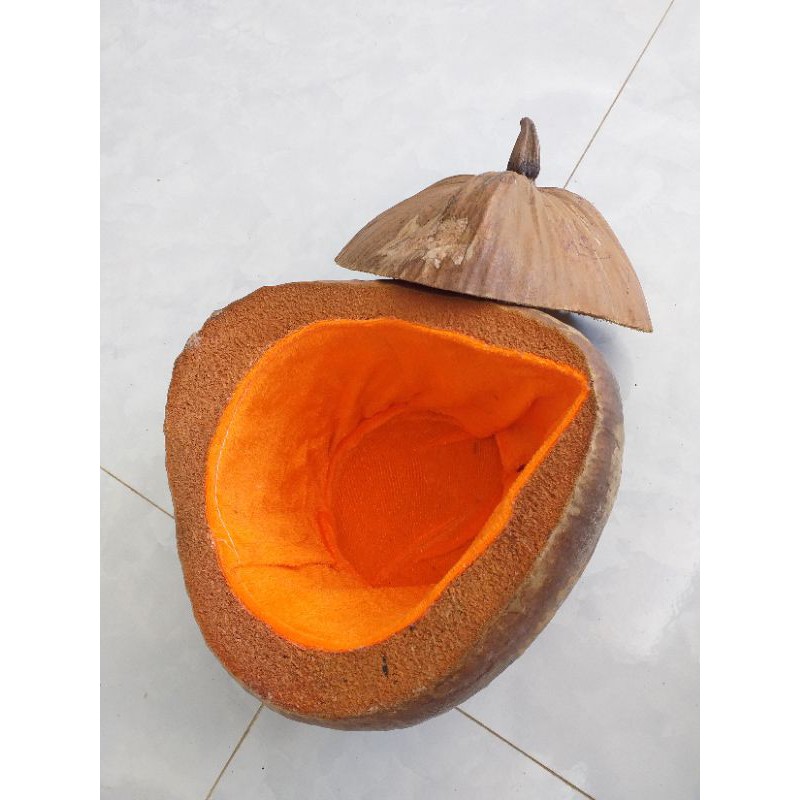 Quả dừa giữ nhiệt bình trà không sơn kèm bình tích 0.8 lít