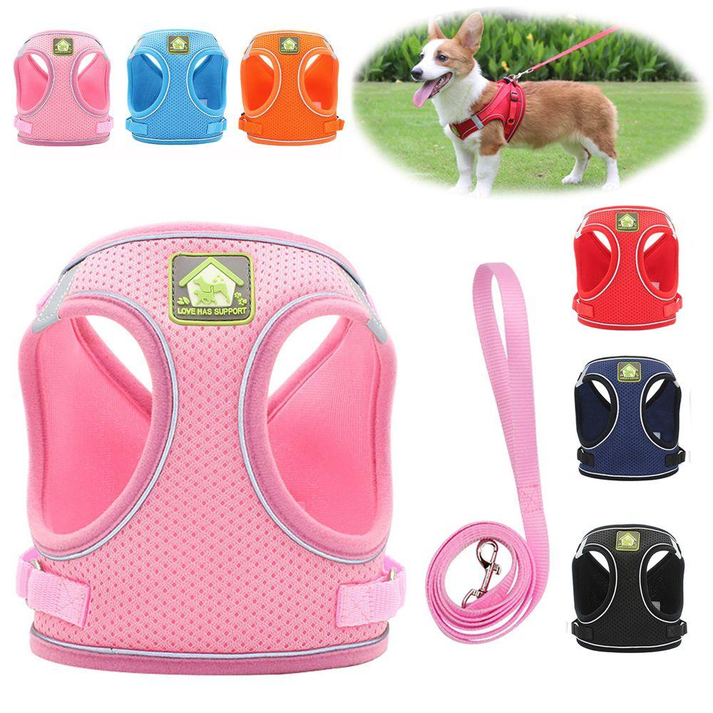 Đai Dắt Thú Cưng Đi Dạo Có Dây Dắt Size XS-XL Mềm Mại Thoáng Khí