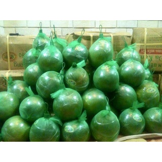 Bưởi Da Xanh loại 2