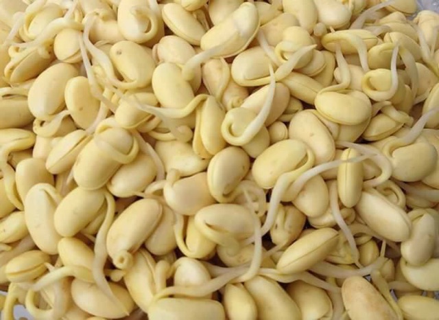 Mầm đậu nành 1 kg nguyên chất ngon