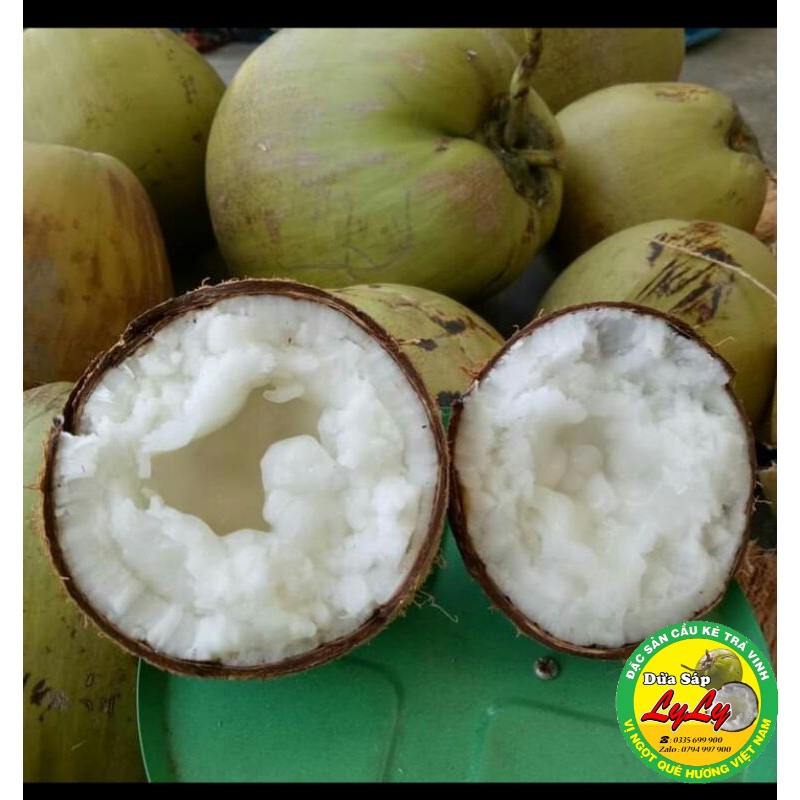 Dừa sáp Bi 500g đặc ruột