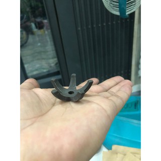 Đồ chơi tép cá - Ngôi sao nhỏ