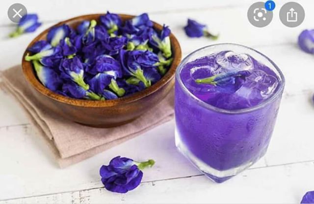 [Mã GROSALEHOT giảm 8% đơn 250K] { 100G } HOA ĐẬU BIẾC SẤY KHÔ | BigBuy360 - bigbuy360.vn