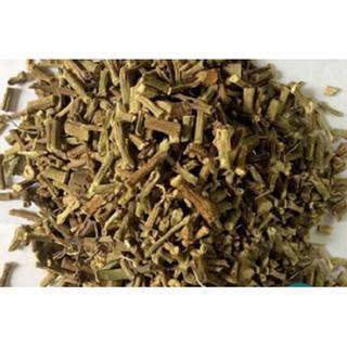 Cây chìa vôi 1kg