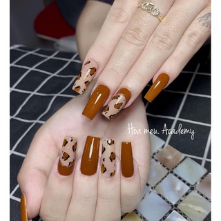 Móng tay giả Nail thiết kế Nailbox