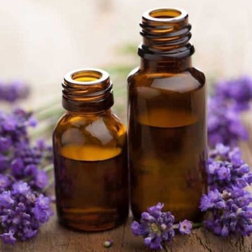 Lọ 100ML Tinh Dầu Oải Hương Tự Nhiên Nguyên Chất Khử Khuẩn Thơm Phòng