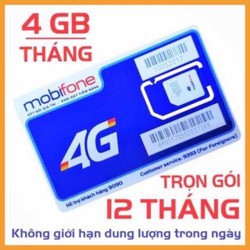 Sim 4G Mobilefone MDT250A Trọn Gói 12 Tháng Không Cần Nạp Tiền