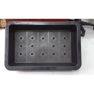 Chậu trồng rau mầm kích thước 65x42x18cm