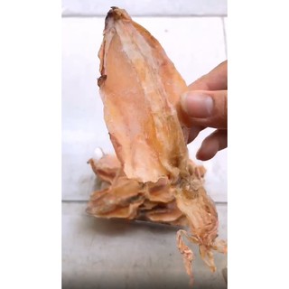 (Combo 20 con)Mực sim câu Quỳnh lưu xin xò
