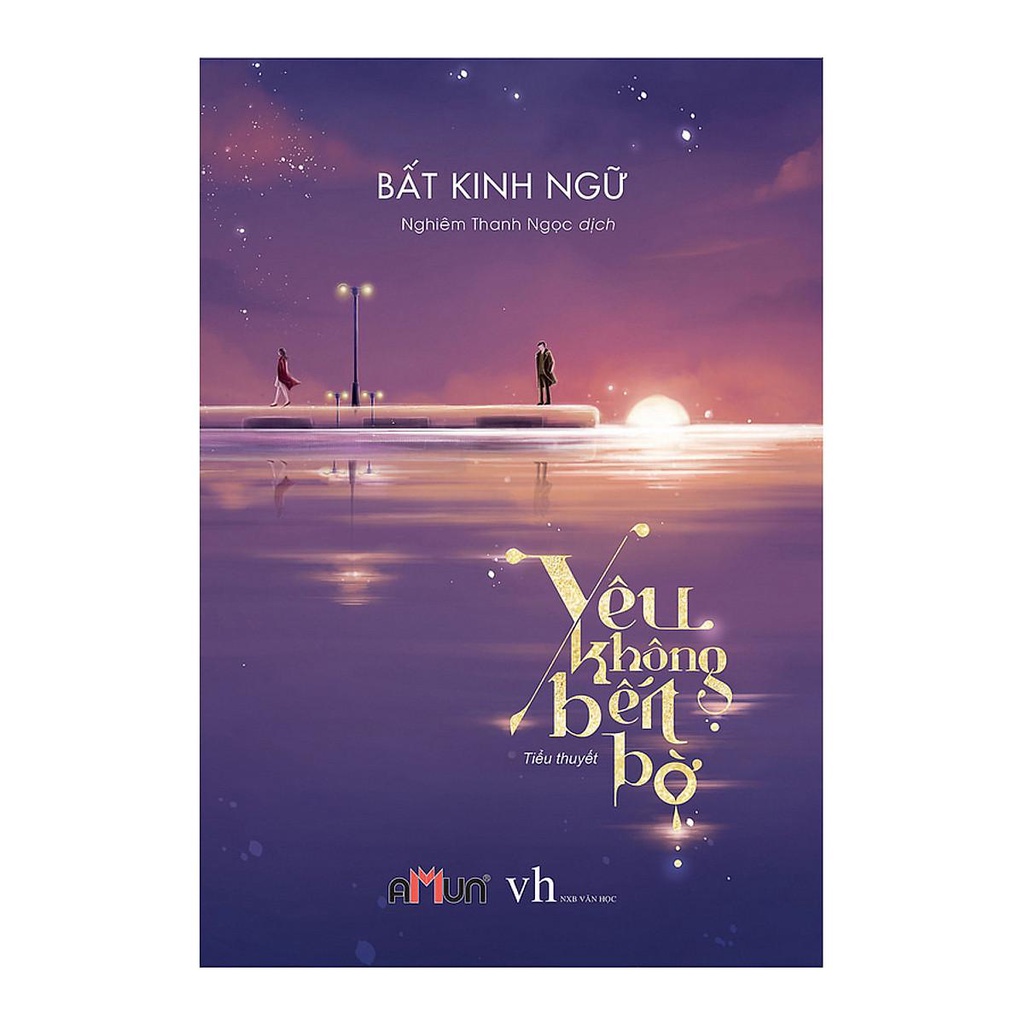 Sách - Yêu Không Bến Bờ ( Đinh Tị )