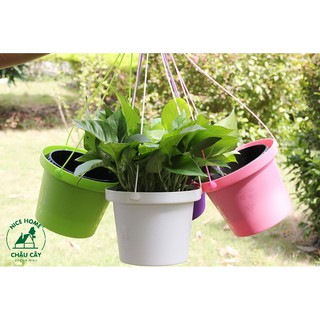 Chậu cây tự dưỡng thông minh - K03