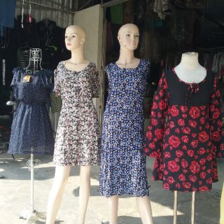 Combo kiến vàng 200k. 1ky5