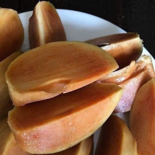 Cây giống hồng xiêm xoài loại nhỡ đang ra hoa và quả