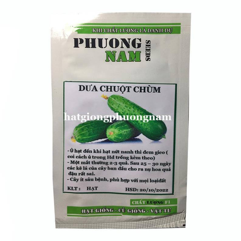 1H - HẠT GIỐNG DƯA CHUỘT CHÙM SIÊU TRÁI