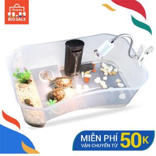 Bể nuôi rùa bằng nhựa chuyên nghiệp chất lượng cao