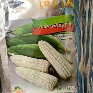 Hạt giống ngô nếp trắng nhập khẩu Thái Lan
