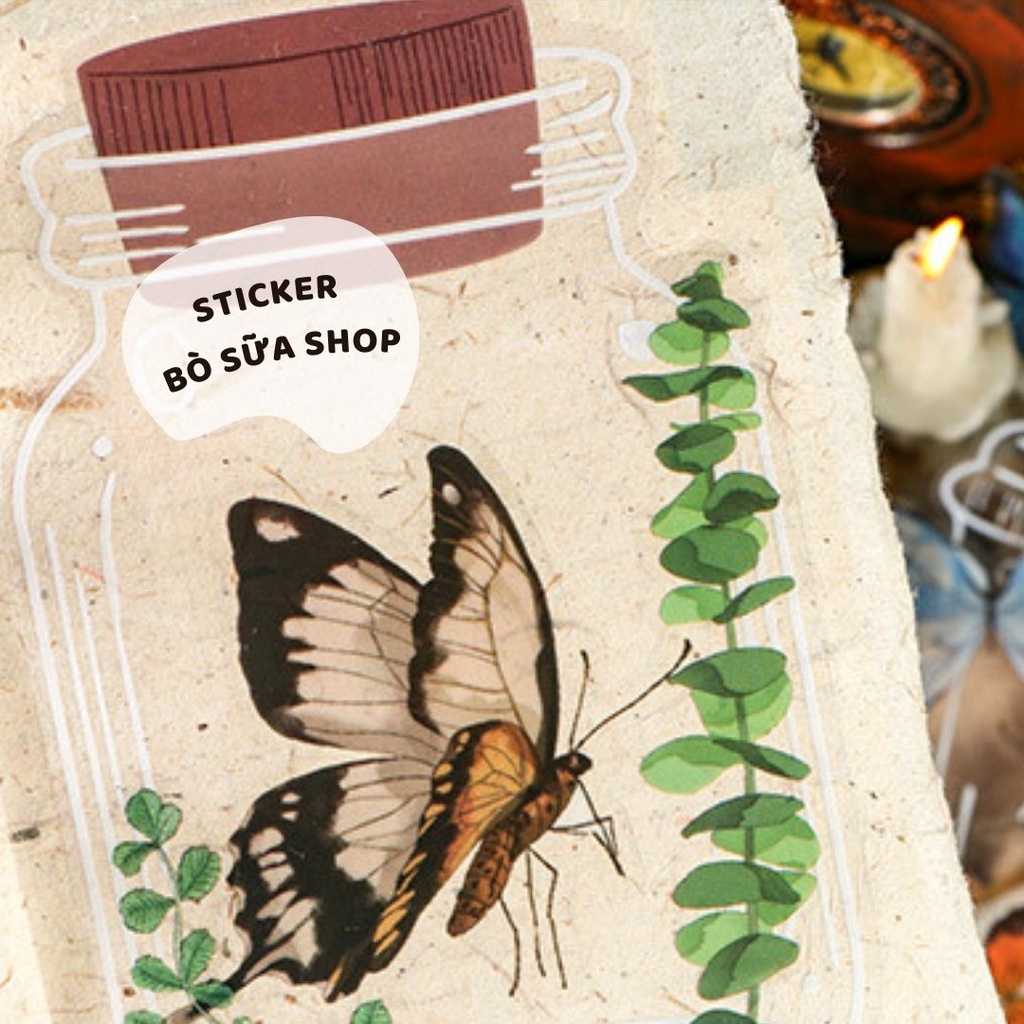 Sticker hình bướm hoa nấm lọ thủy tinh phong cách vintage stickerbosuashop