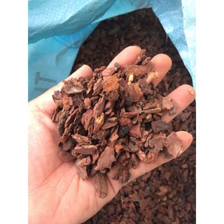 Vỏ thông trồng phong lan size 0.5 cm