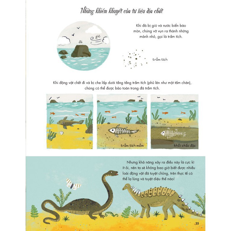 Sách - Nguồn Gốc Các Loài - NXB Kim Đồng