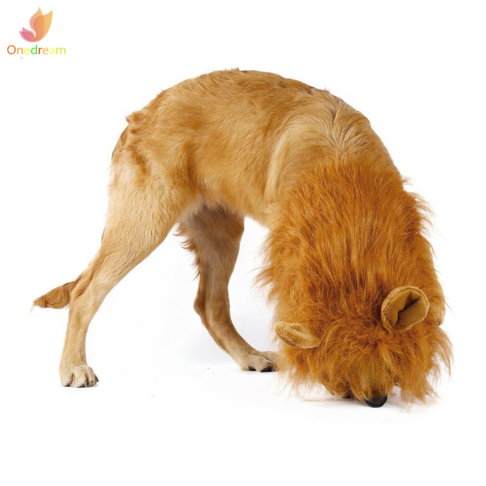 Bờm Sư Tử Giả Cho Thú Cưng