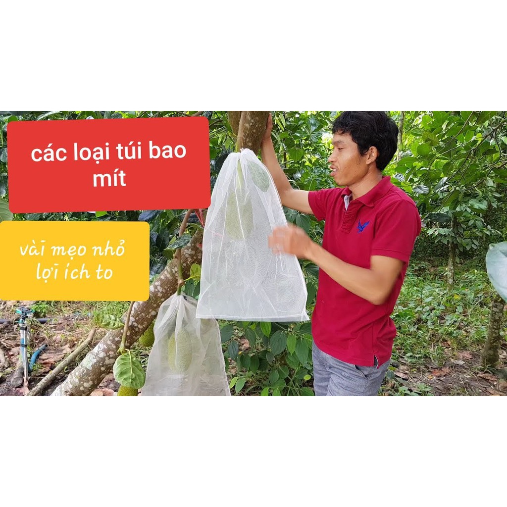 100 TÚI BỌC QUẢ KÍCH THƯỚC 45x60CM - Túi bọc giúp hạn chế tác hại của sâu,ong