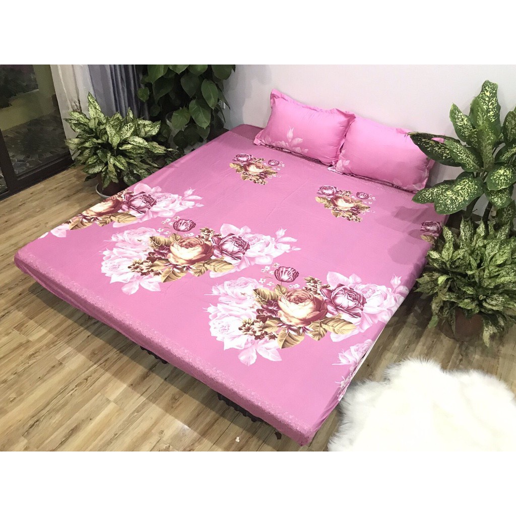 Bộ Drap giường 2022 Ga Nệm Cotton Poly 3 Món 1m2 1m4 1m6 1m8 2m2  - Bộ Drap Gối  GC44-Gc53