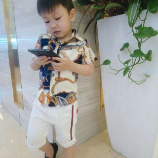 LÔ ÁO SƠ MI LỤA