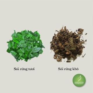 500gram Cây sói rừng JD061