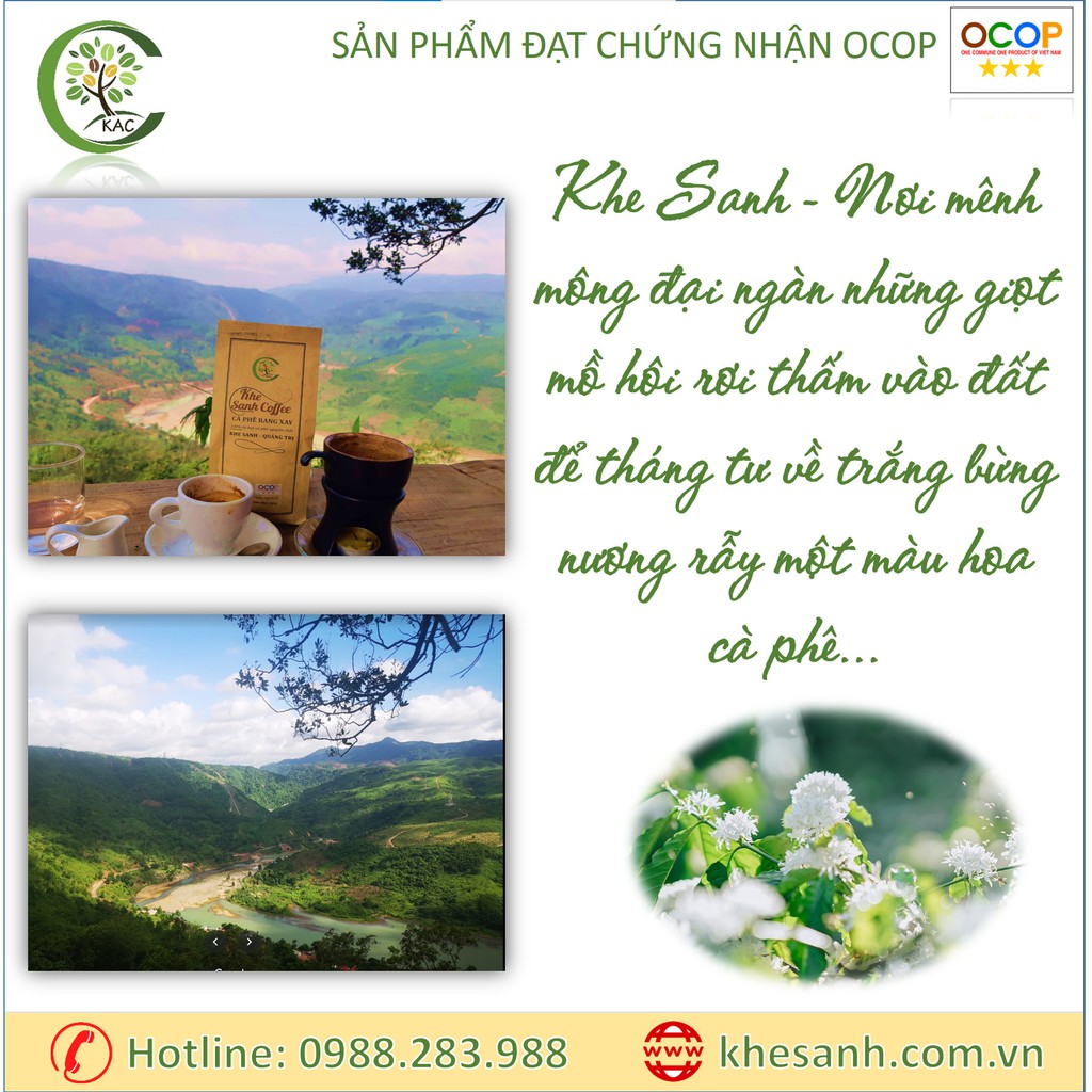 [Mã GROXUAN1 giảm 8% đơn 150K] Arabica Khe Sanh - Cà phê sạch 100% | BigBuy360 - bigbuy360.vn