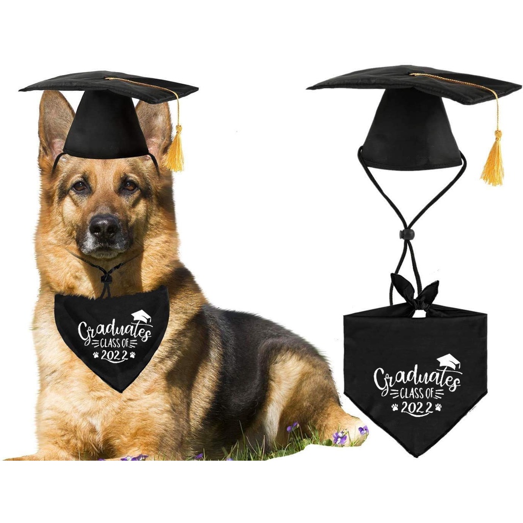 Nón Tốt Nghiệp Hình Phi Hành Gia Màu Đen 2022 Cho Thú Cưng