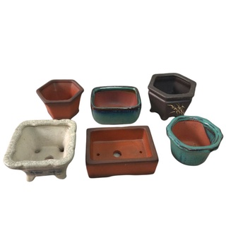 COMBO CHẬU MINI 6 CÁI ( có thể thay đổi màu và mẫu tuỳ đợt hàng )