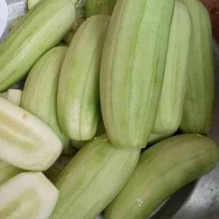 30 HẠT GIỐNG DƯA CHUỘT MÈO                                                                 ( siêu to khổng lồ )