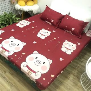 Ga gối cotton poly