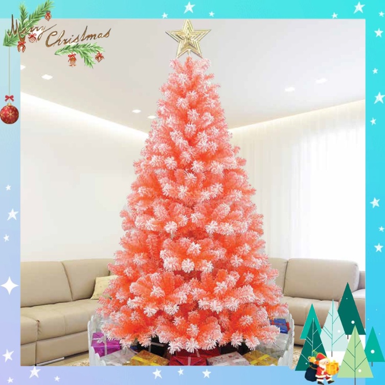 Cây thông noel phủ tuyết 2m đầu tròn quấn chỉ màu cam – cây tự động trang trí giáng sinh nhà thờ, phòng khách